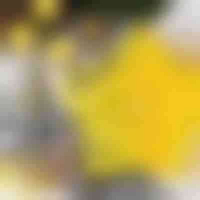 Vykrajovače na sušienky v tvare hviezdy (6 ks) | STARCUTS