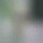 Dávkovač zubnej pasty a držiak kefky | BRUSHBASE