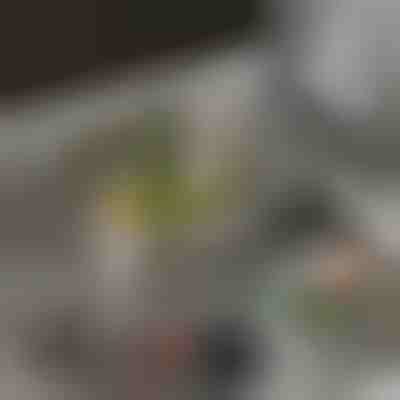 Odkvapkávací kôš, ktorý filtruje a ľahko sa skladuje | EVOSINK